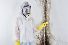 Best Commercial Mold Inspection  in Plymouth, PA